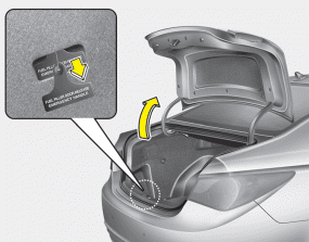 An emergency fuel filler lid release is located in the luggage compartment, on