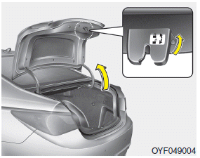 The trunk lid control switch is used to prevent unauthorized access to the trunk.