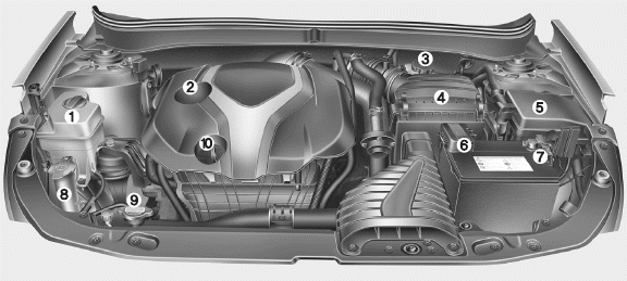 1. Engine coolant reservoir