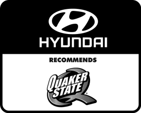 Have engine oil and filter changed by an authorized HYUNDAI dealer according