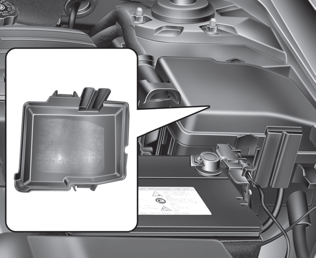 Hyundai Sonata Fuse/relay panel description Fuses Maintenance